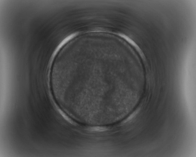 X0000085231333200703301717