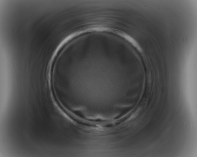X0000085231334200703301717