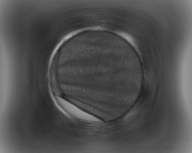 X0000085231335200703301717