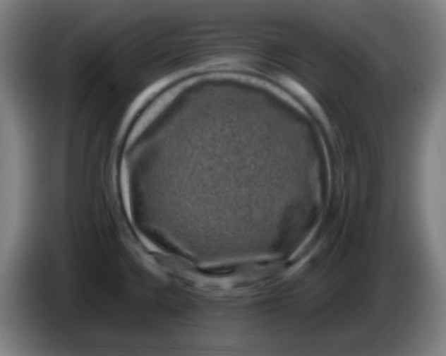 X0000085231336200703301717