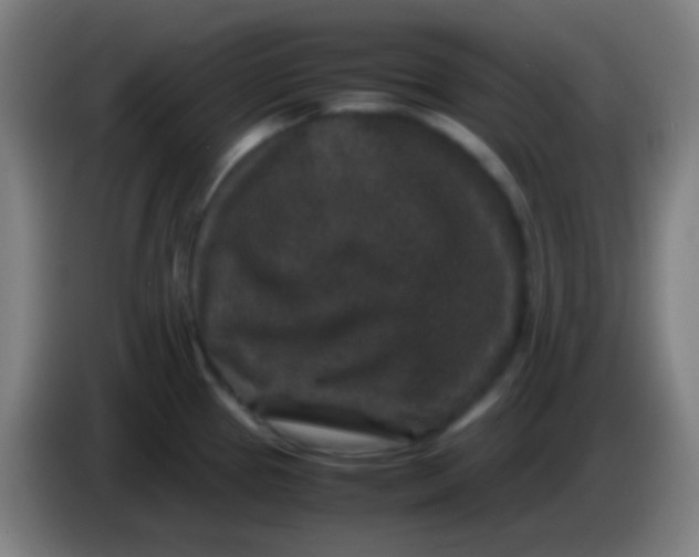 X0000085231337200703301717