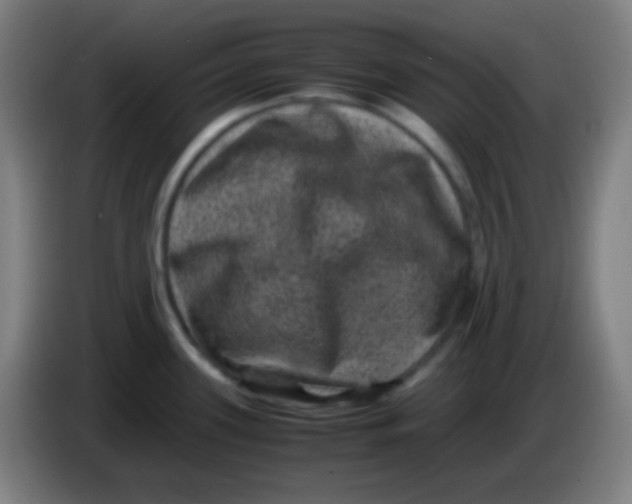 X0000085231339200703301717