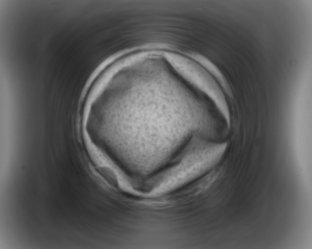 X0000085231340200703301717