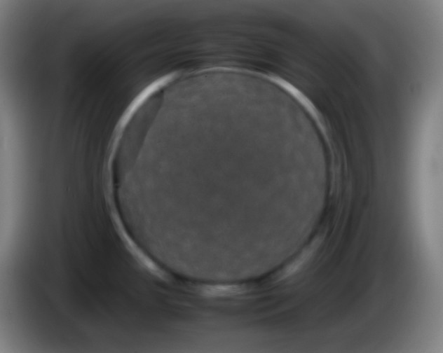 X0000085231341200703301717