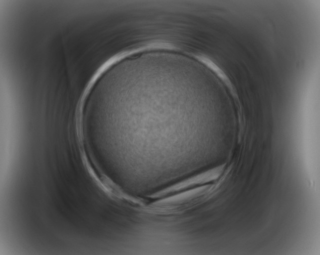 X0000085231342200703301717