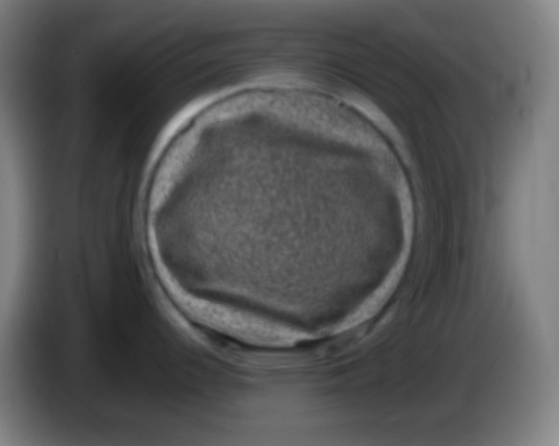 X0000085231344200703301717