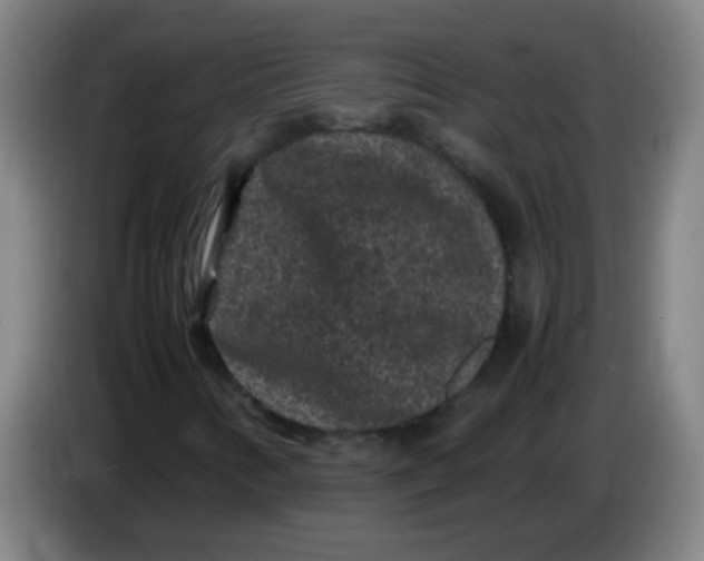 X0000085231346200703301716