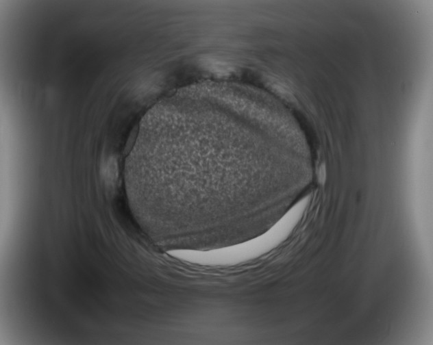 X0000085231347200703301716