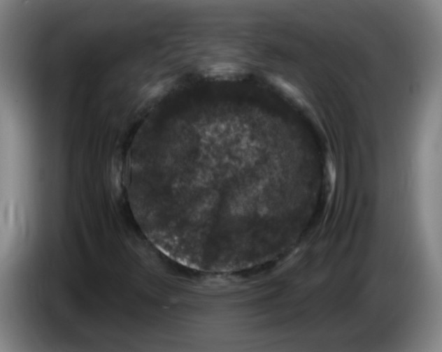 X0000085231348200703301716