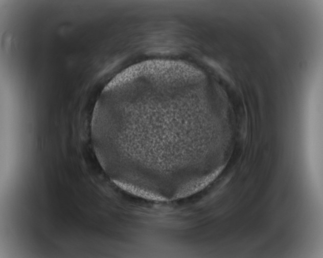 X0000085231350200703301716