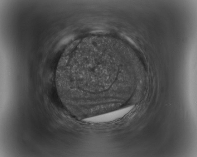 X0000085231351200703301716