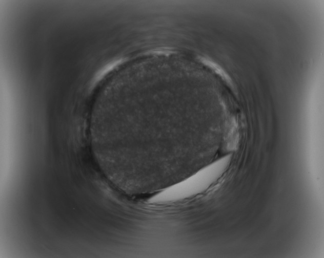X0000085231352200703301716