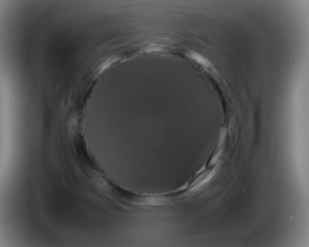 X0000085231353200703301716