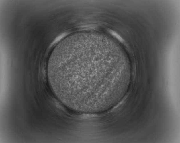 X0000085231354200703301716