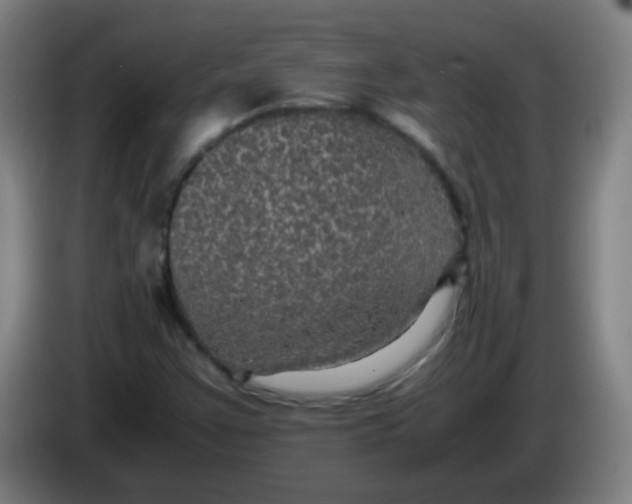 X0000085231355200703301716