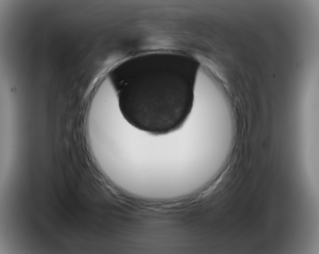 X0000085231357200703301716