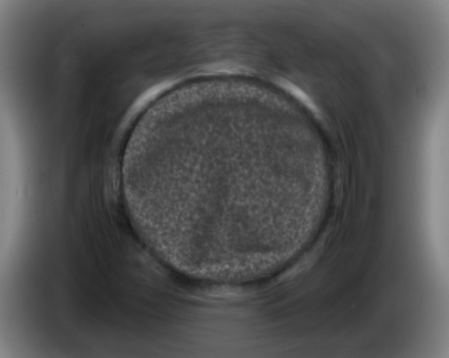 X0000085231358200703301716