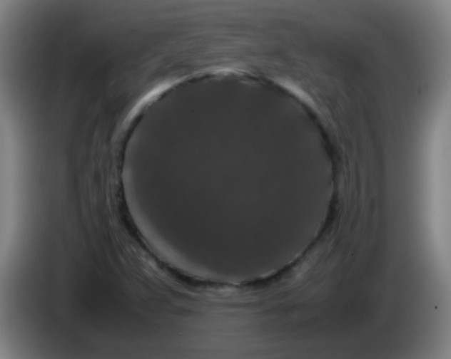 X0000085231359200703301716