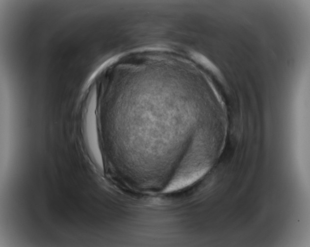 X0000085231360200703301716