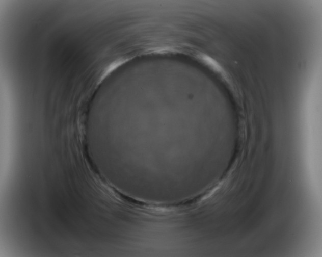 X0000085231361200703301716