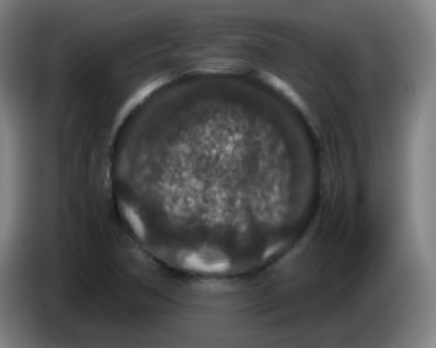 X0000085231362200703301716