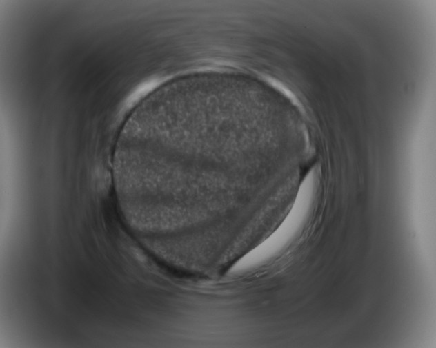 X0000085231363200703301716