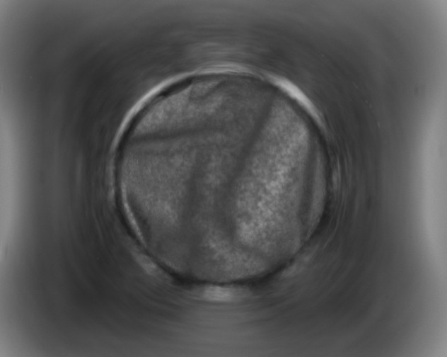 X0000085231364200703301716