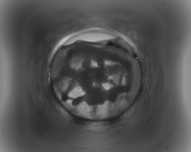 X0000085231367200703301716