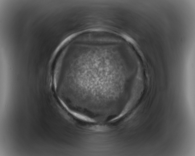 X0000085231368200703301716
