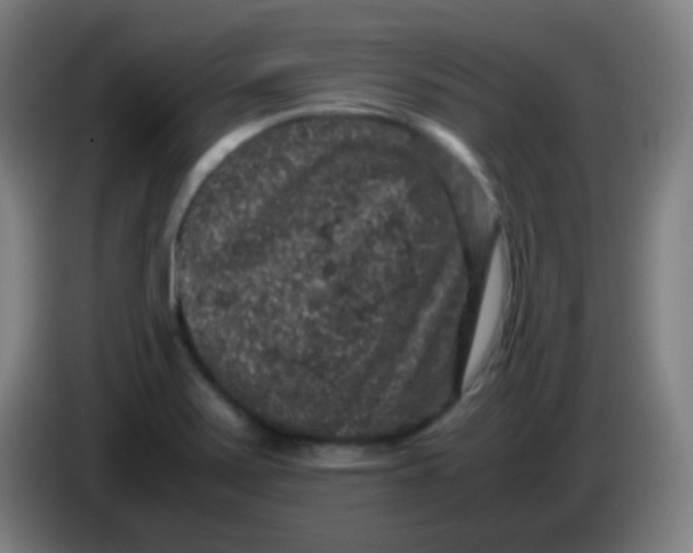 X0000085231371200703301716