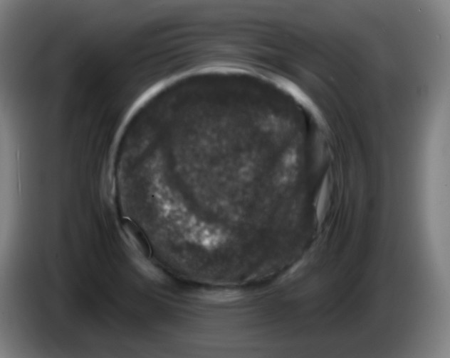 X0000085231372200703301716