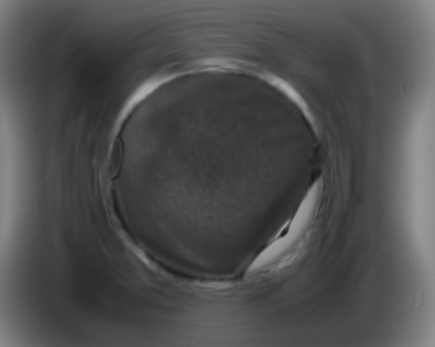 X0000085231373200703301716