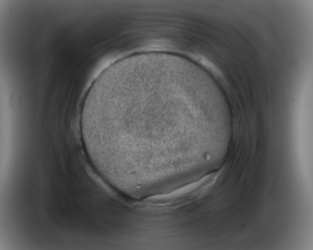 X0000085231374200703301716
