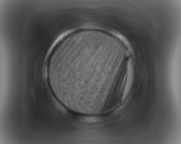 X0000085231376200703301716