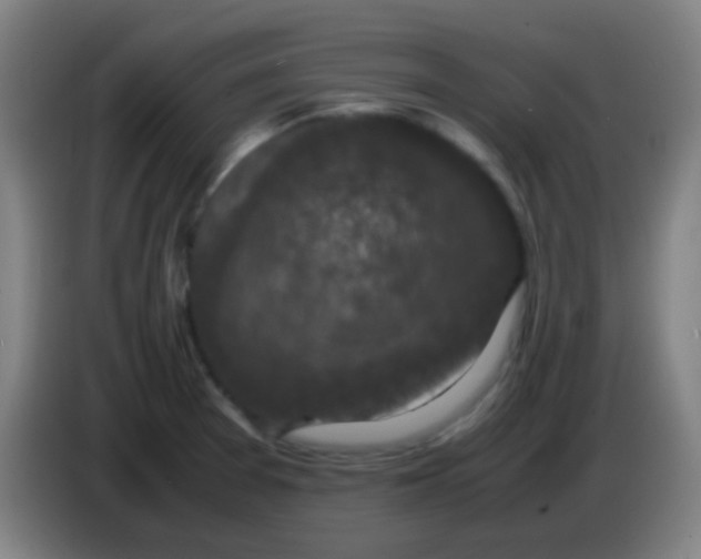 X0000085231377200703301716