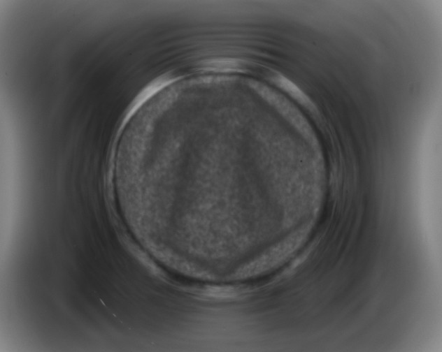 X0000085231378200703301716
