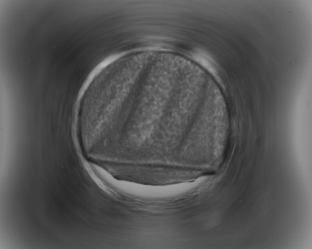 X0000085231379200703301716