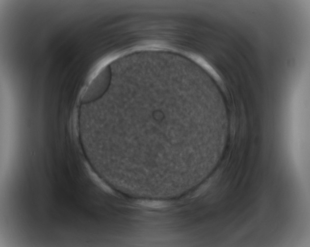 X0000085231382200703301715