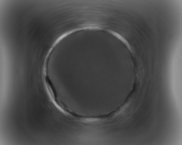 X0000085231383200703301715