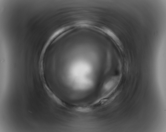 X0000085231384200703301715