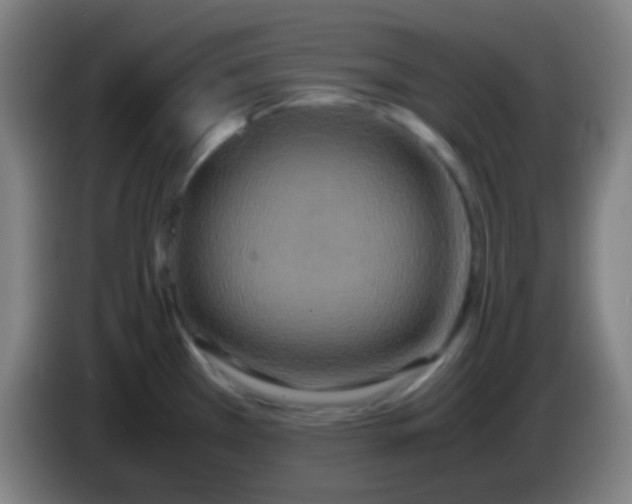 X0000085231385200703301715