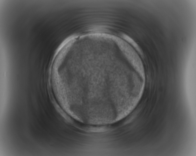 X0000085231386200703301715