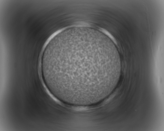 X0000085231387200703301715