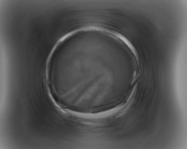 X0000085231388200703301715