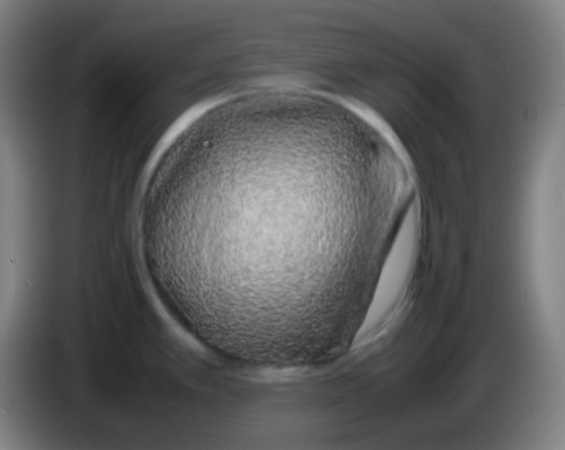 X0000085231389200703301715