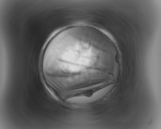 X0000085231392200703301715
