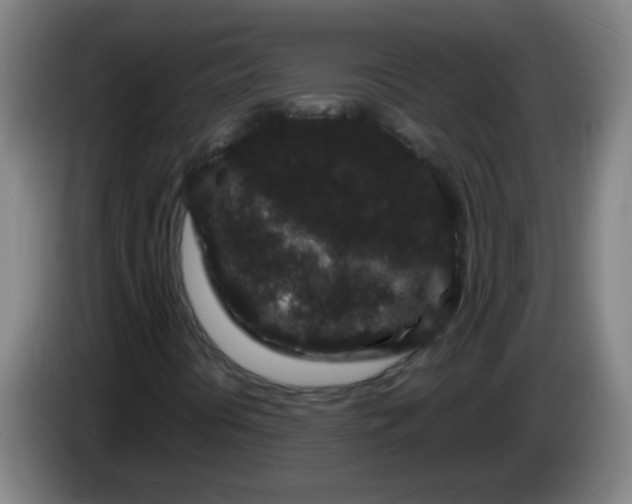 X0000085231394200703301715