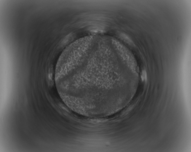 X0000085231396200703301715