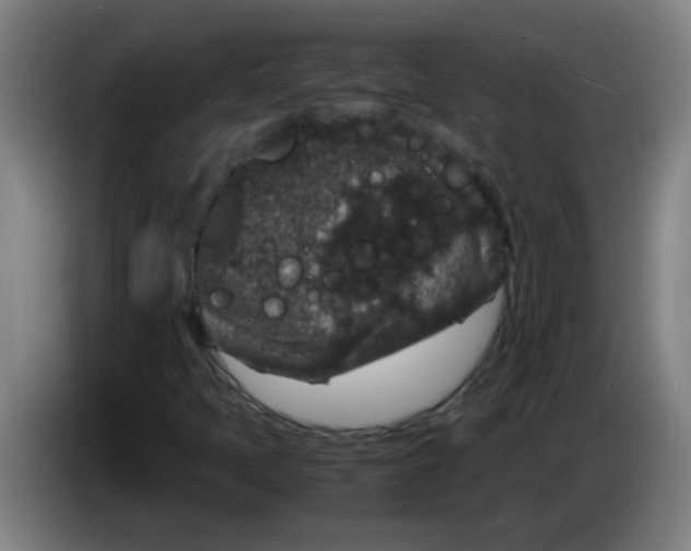 X0000085231397200703301715
