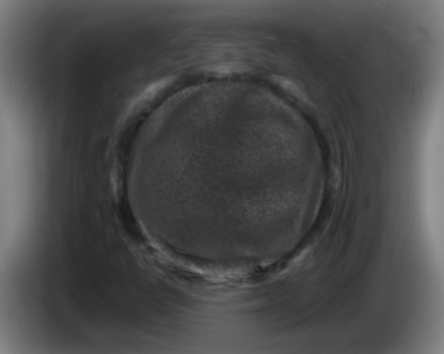 X0000085231398200703301715